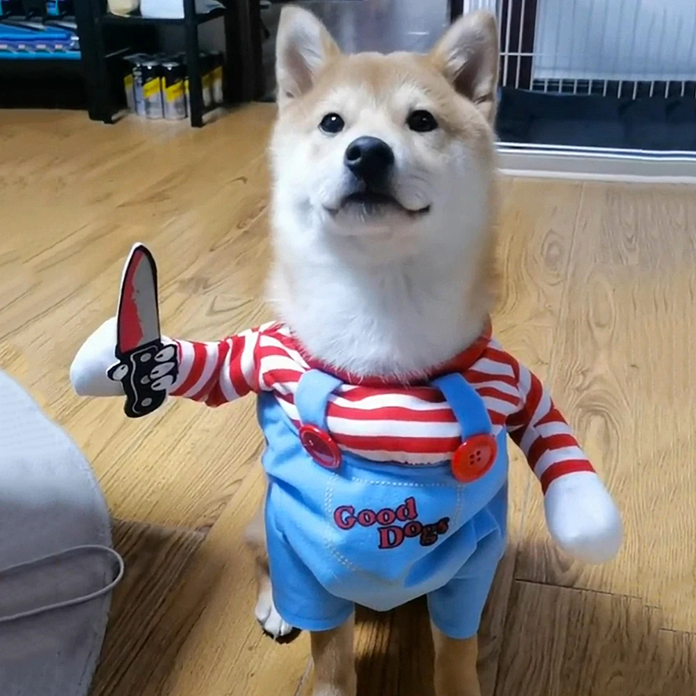 Halloween ubrania dla psów dla małych średnich psów koty zabawna impreza Cosplay kostium szczeniaka nowość Chihuahua Yorkshire mops odzież dla zwierząt