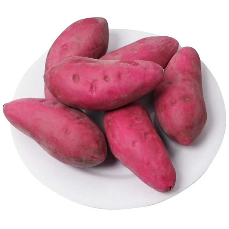 Realistic Sweet Potato Model Props Simulation Sample Window Display Fake Foam Vegetables for Home Decor Early Education