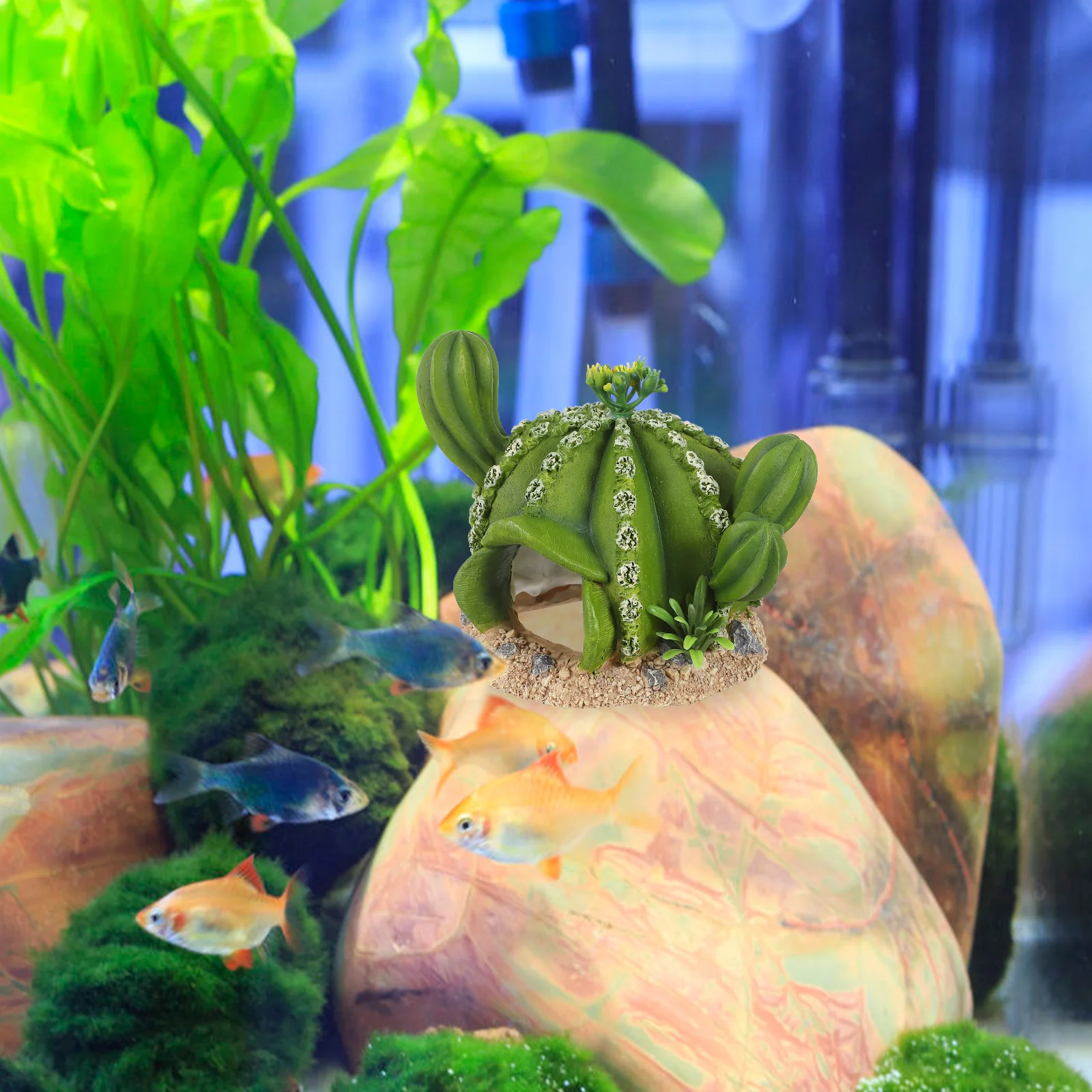 

Resin Green Cactus Decoration Realistic Reptile Shelter Reptiles Feeding Box Decor Terrarium Plants Reptile Tank