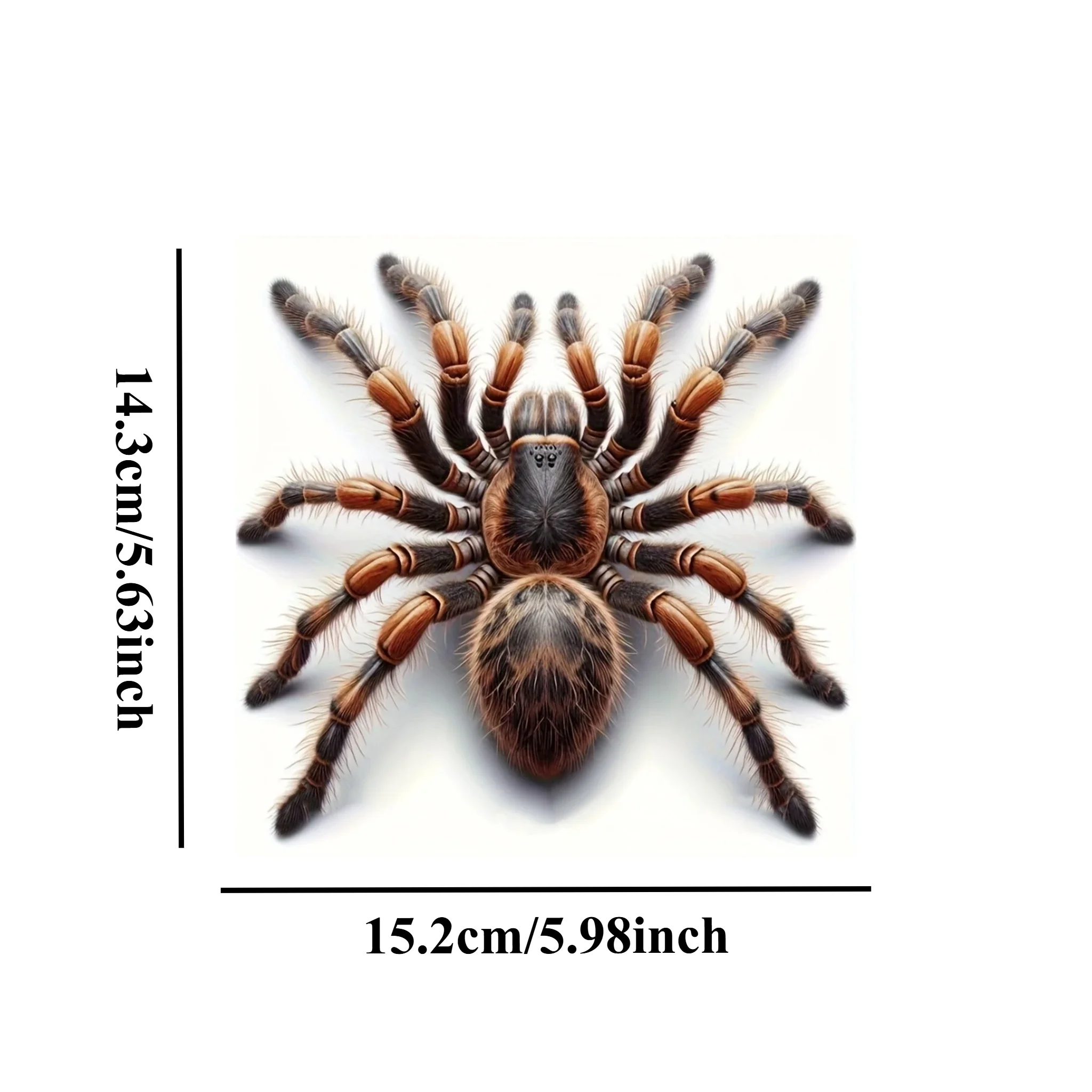 Halloween Spider Vinyl Sticker 1PC Waterproof Decal for Motorcycle Fuel Tank Fairing Car Window Bumper Trunk DIY Decor