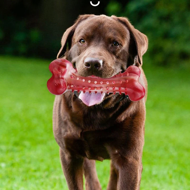 Super Chewer Dog Toy Natural Rubber Beef Flavor Dog Bones Chew Toys for Aggressive Chewers Large Beeds Dogs Teeth Cleaning Stuff