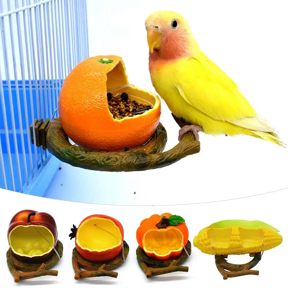 Funny Fruit Shape Bird Parrot Feeder Orange Pomegranate Food Water Feeding Bowl Container For Crates Cages Pet Supplies