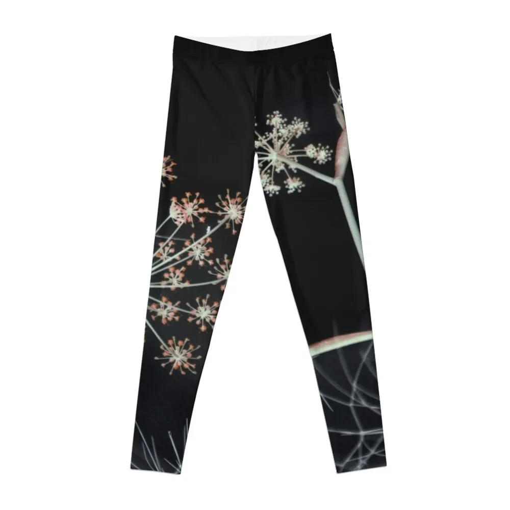 

Night Whispers. Dark Floral Leggings legings for fitness sport legging Womens Leggings