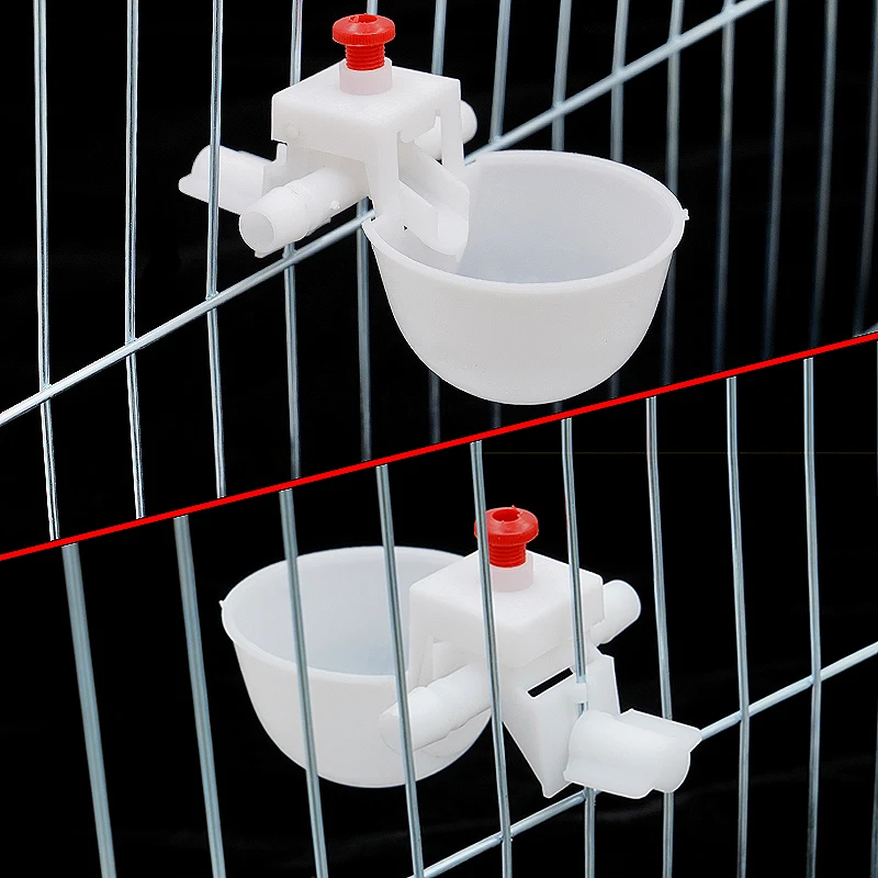 5Pcs Bird Water Feeder Bowl Automatic Bird Chicken Coop Feed Poultry Drinker Water Drinking Cups Quail Waterer Animal Feed