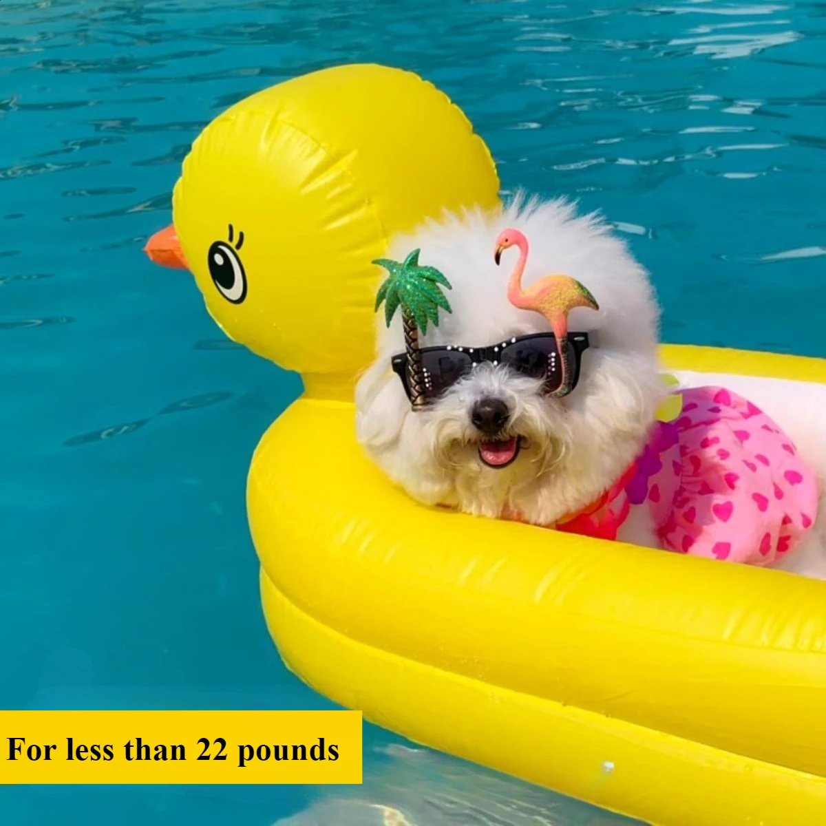 2in1 犬プールフロート インフレータブル 折りたたみ式 Pvc 犬用プール 