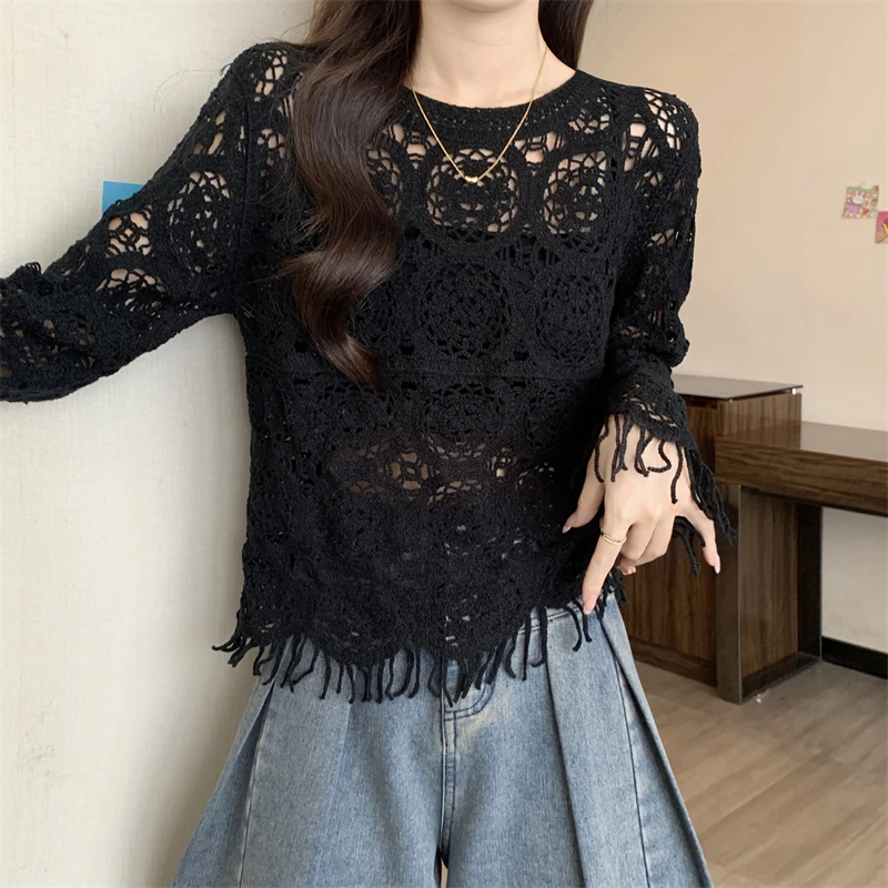 Sheer Crochet Top Embroidery Lace Blouse Long Sleeve Open-knit Crop Tops for Women Spring Summer 2024 Boho Vacation Outfit