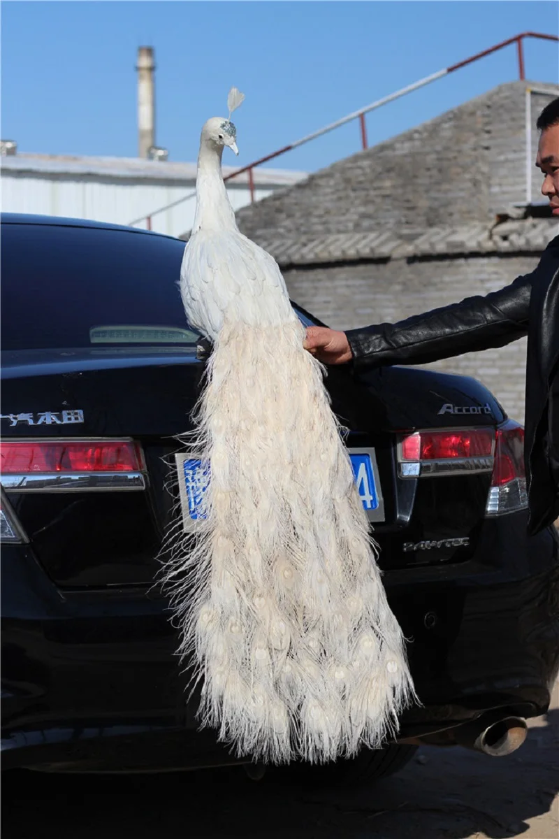 

big real life beautiful peacock model long foam&feather simulation beautiful peacock bird gift about 120cm xf2938