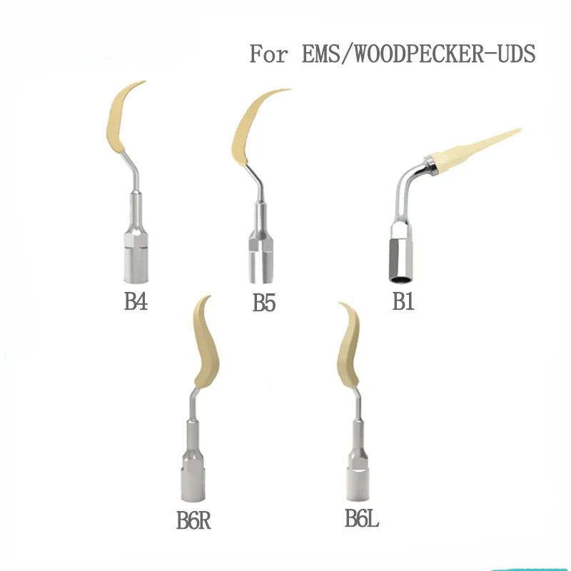 VVDental  Dental Ultrasound Scaler Tip Fit EMS WOODPECKER Handpiece Scaling Periodontics Endodontics Tip Dentistry Tool