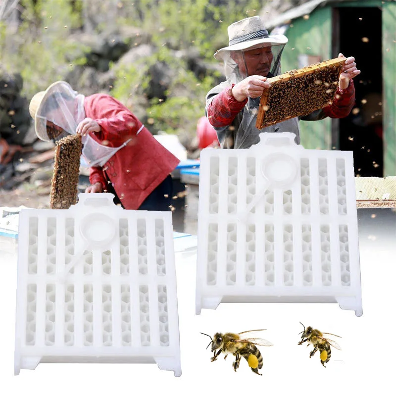 

2Pcs Beekeeping Transport Queen Cages New Design Bee Post Cage Transparent Box with Comb Fundation Sheet Queen Rearing Tool