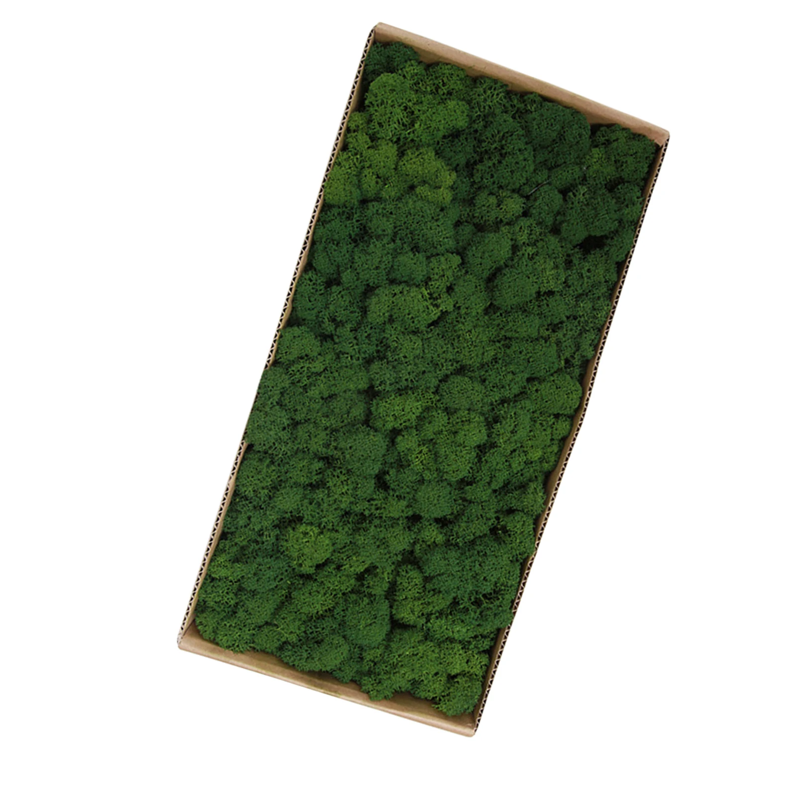 Preserved Moss Garden Art Wall Decor, Micro Landscape