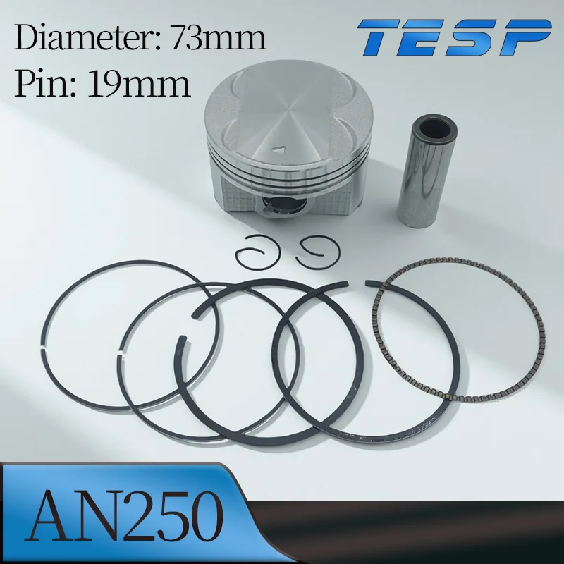 Kit de pistón de motocicleta AN250, diámetro de 73mm, pasador de 19mm, Compatible con Suzuki AN250 Burgman Skywave 250 DR250 250CC, anillo de montaje de pistón