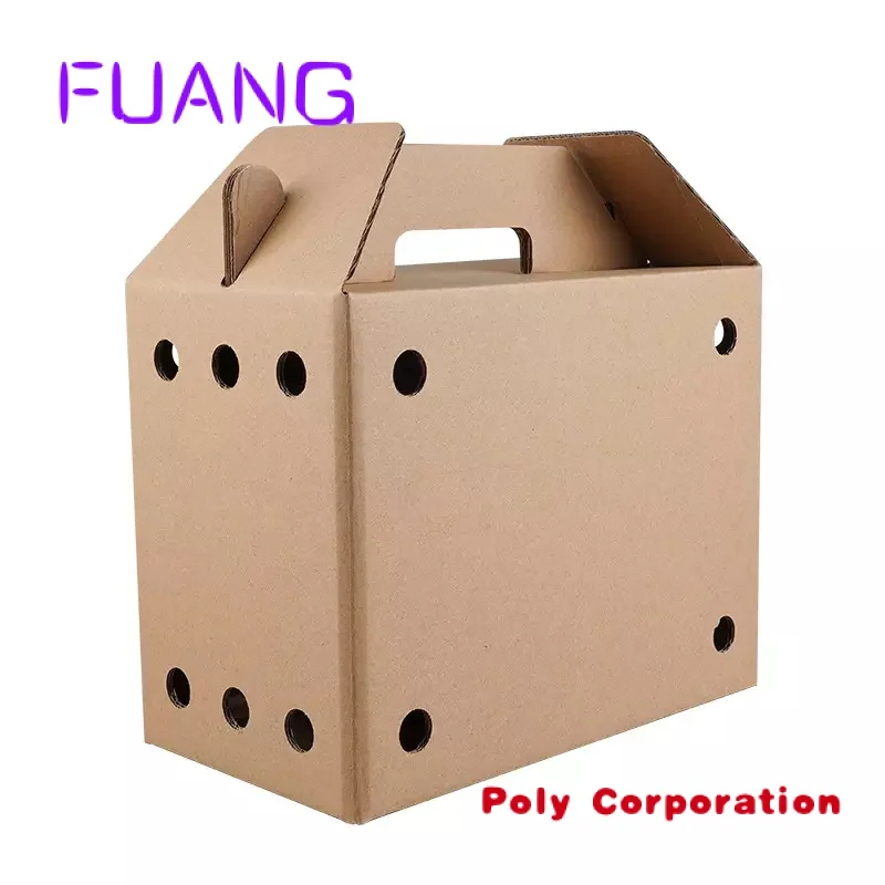 

Custom Eco-Friendly 100% Recycled Packaging Big Size Egg Box Fruit Carton with Handlepacking box for small business