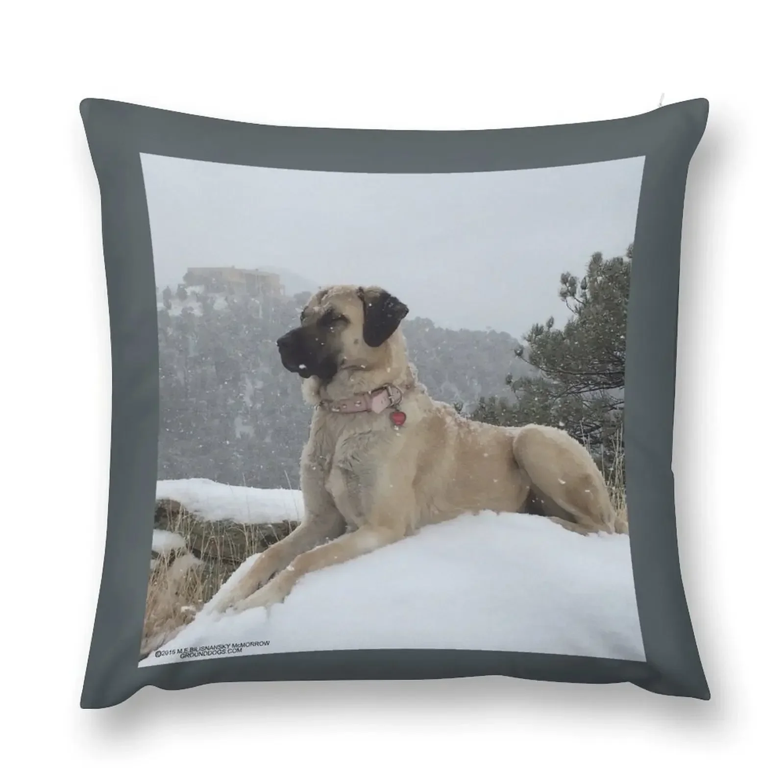 

Anatolian Shepherd Dog on Guard Throw Pillow pillow pillowcase Rectangular Cushion Cover Christmas Pillow Covers