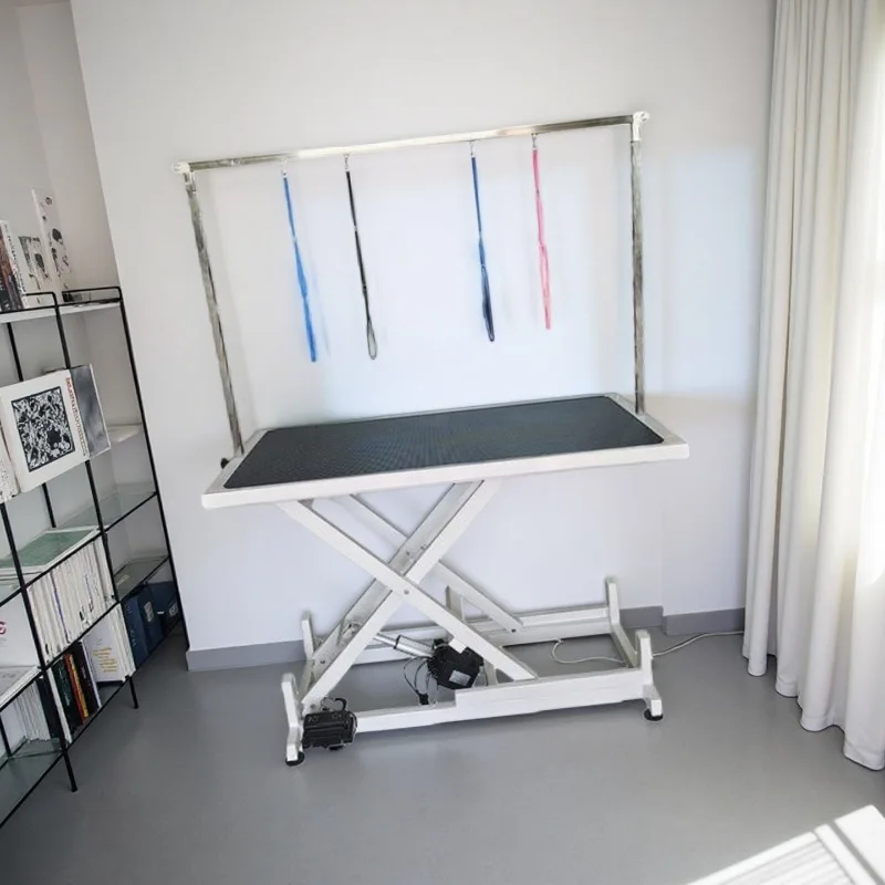 

Commercial Hydraulic Grooming Table: Low-Height Electric Lift For Training Academies, Professional Handlers & Large Breed Care