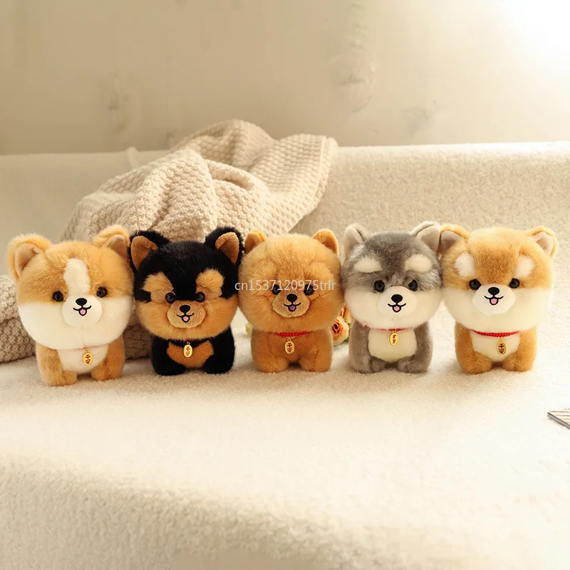 Nuevo peluche peludo Corgi perro juguete de peluche cabeza grande Kawaii Animal realista ChowChow Yorkshire Bichon Husky muñeca regalo de cumpleaños