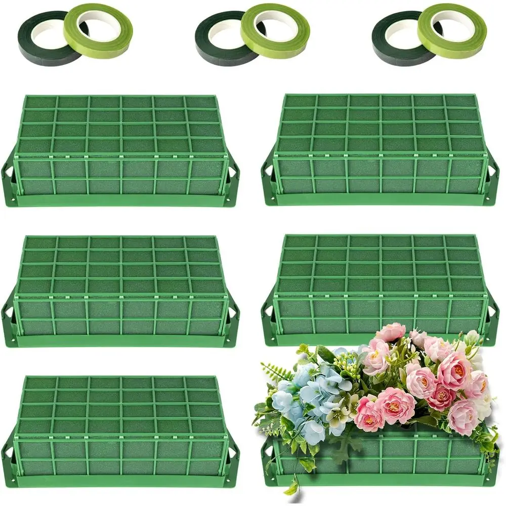 6-Pack Bamboo Plant…