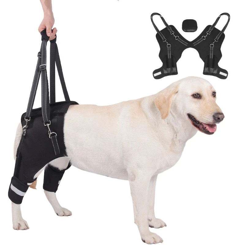 

Dog hind leg assist belt Elderly dog Disabled dog Rehabilitation travel hind leg lift assist belt