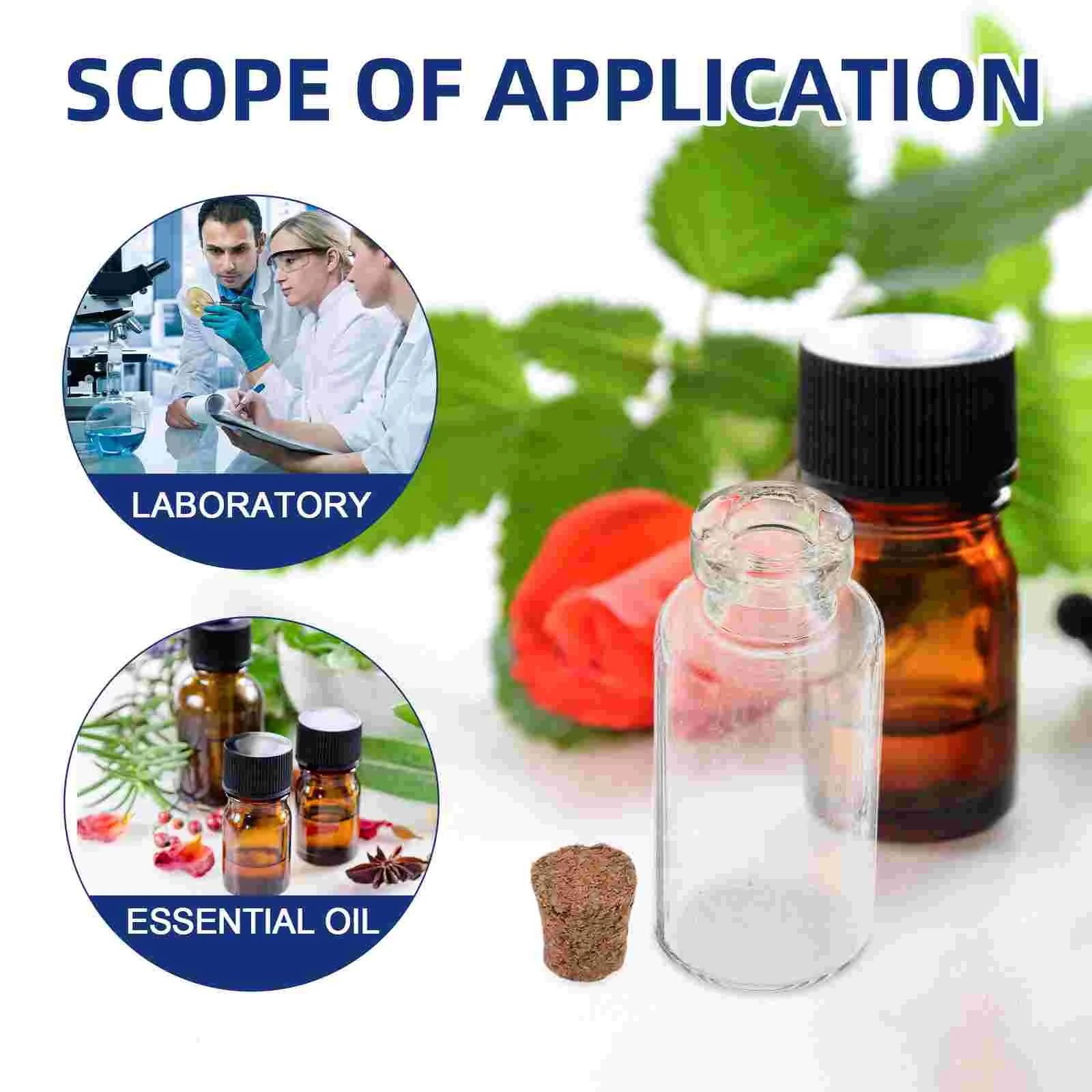 Small Containers with Lids Glass Test Tube Crafts Cork