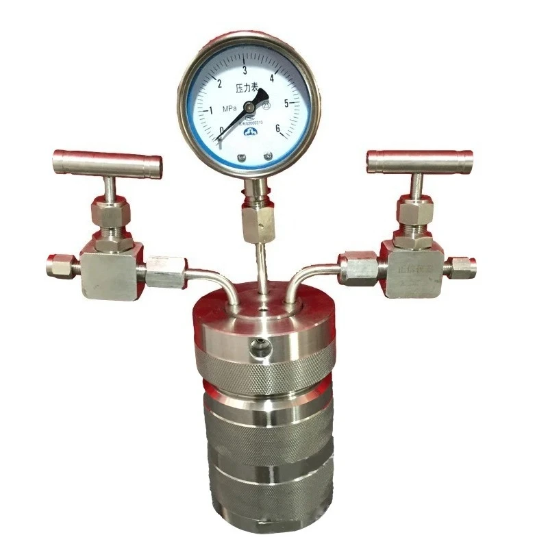 Reactor de Síntesis Hidrotermal con Conexión de Gas, Reactor de Hidrogenación EPF-100ML de Acero Inoxidable