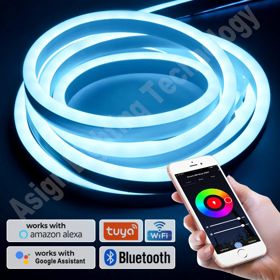 220V EU LED Neon Strip RGB Dimmable Outdoor Waterproof Flexible Ribbon Tape Tuya Smart WiFi/Bluetooth/IR Remote Control 1m-100m