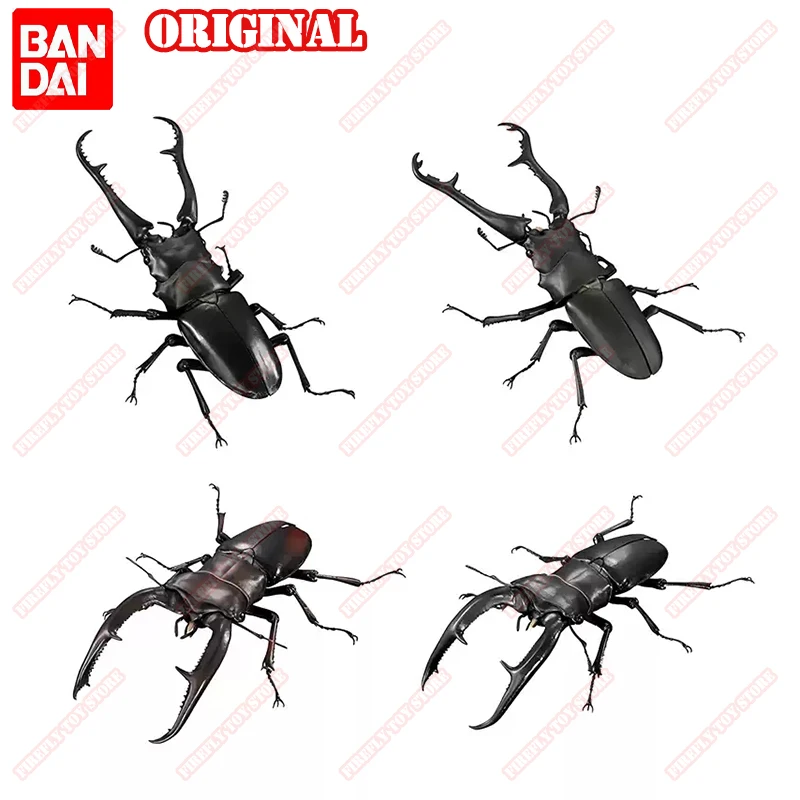 

BANDAI Original Toys Ikemono Taisyou ADVANCE Stag beetle 01 Gacha Lucky Draw Movable Anime Action Model Figures Collection