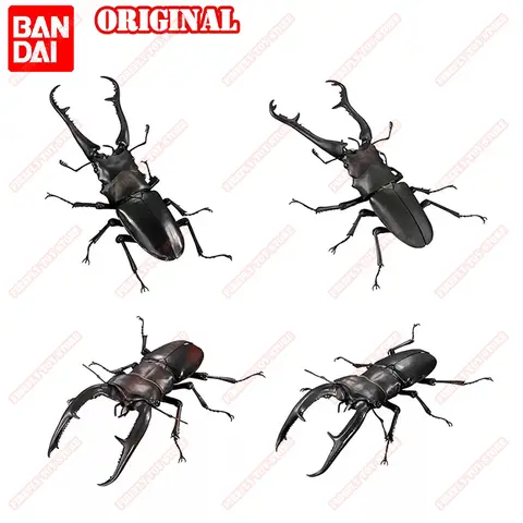 BANDAI Original Toys Ikemono Taisyou ADVANCE Stag beetle 01 Gacha Lucky Draw Movable Anime Action Model Figures Collection