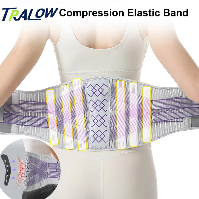 

TRALOW Back Brace for Lower Back Pain Ergonomic Lumbar Support for Pain Relief Breathable Mesh Design with 3D Pad for Sciatica