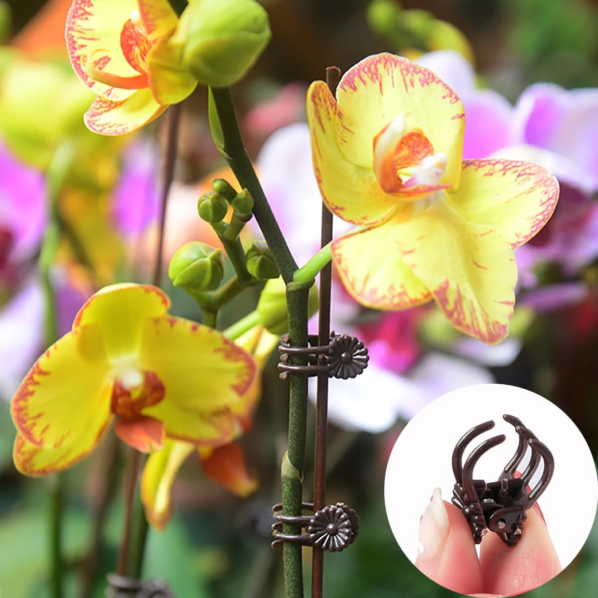 50Pcs Orchid Clips for Plants Support Flower and Vine Grow Upright Green Holders Supporting Stems Garden Supplies