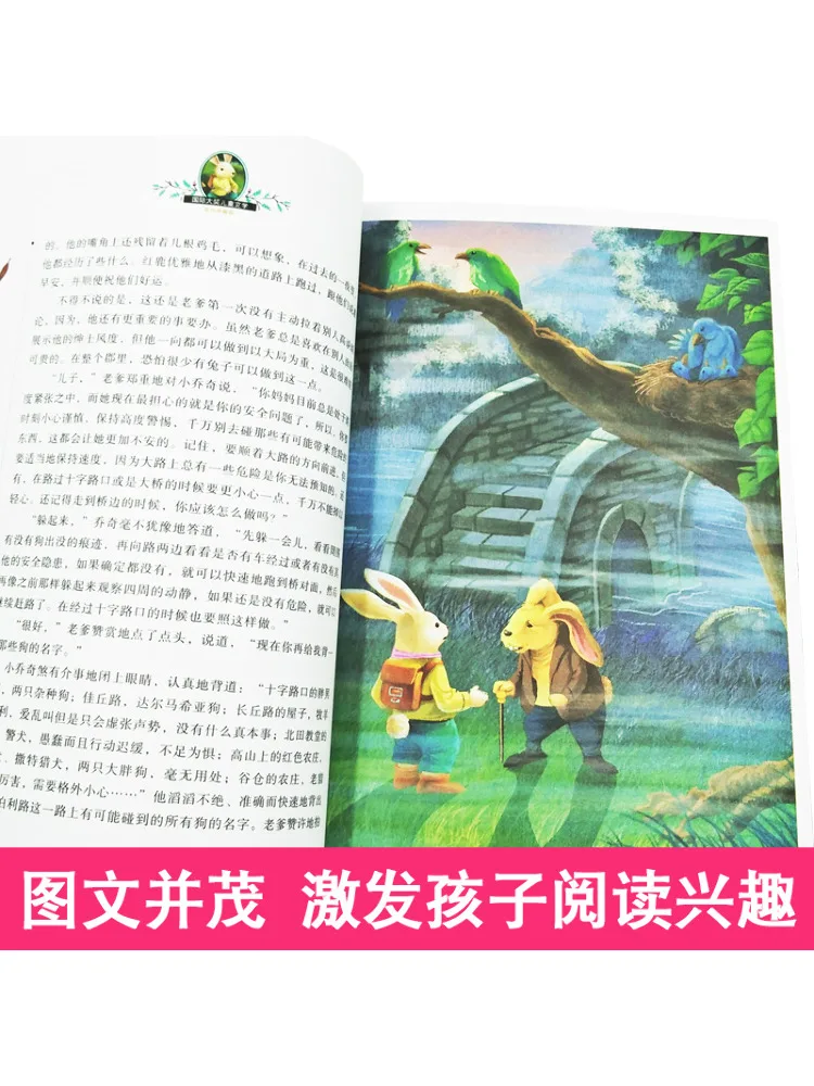 Book-Winshare Rabbit Hill Beautiful Painting Collector's Edition