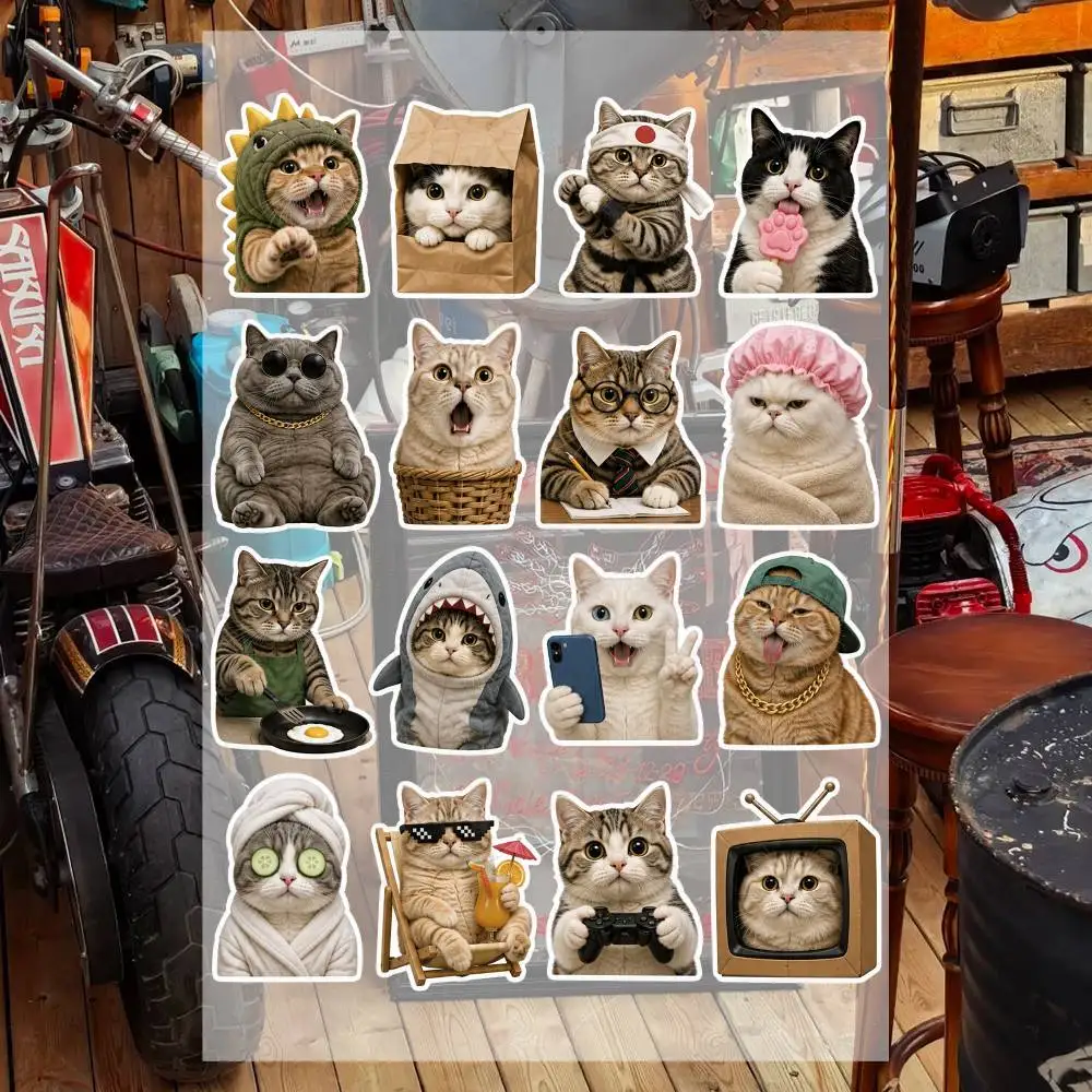 Funny cA-tS- 2 Aesthetic Graffiti Stickers Waterproof PVC Decals for Car Motorcycle Skateboard Helmet Notebook
