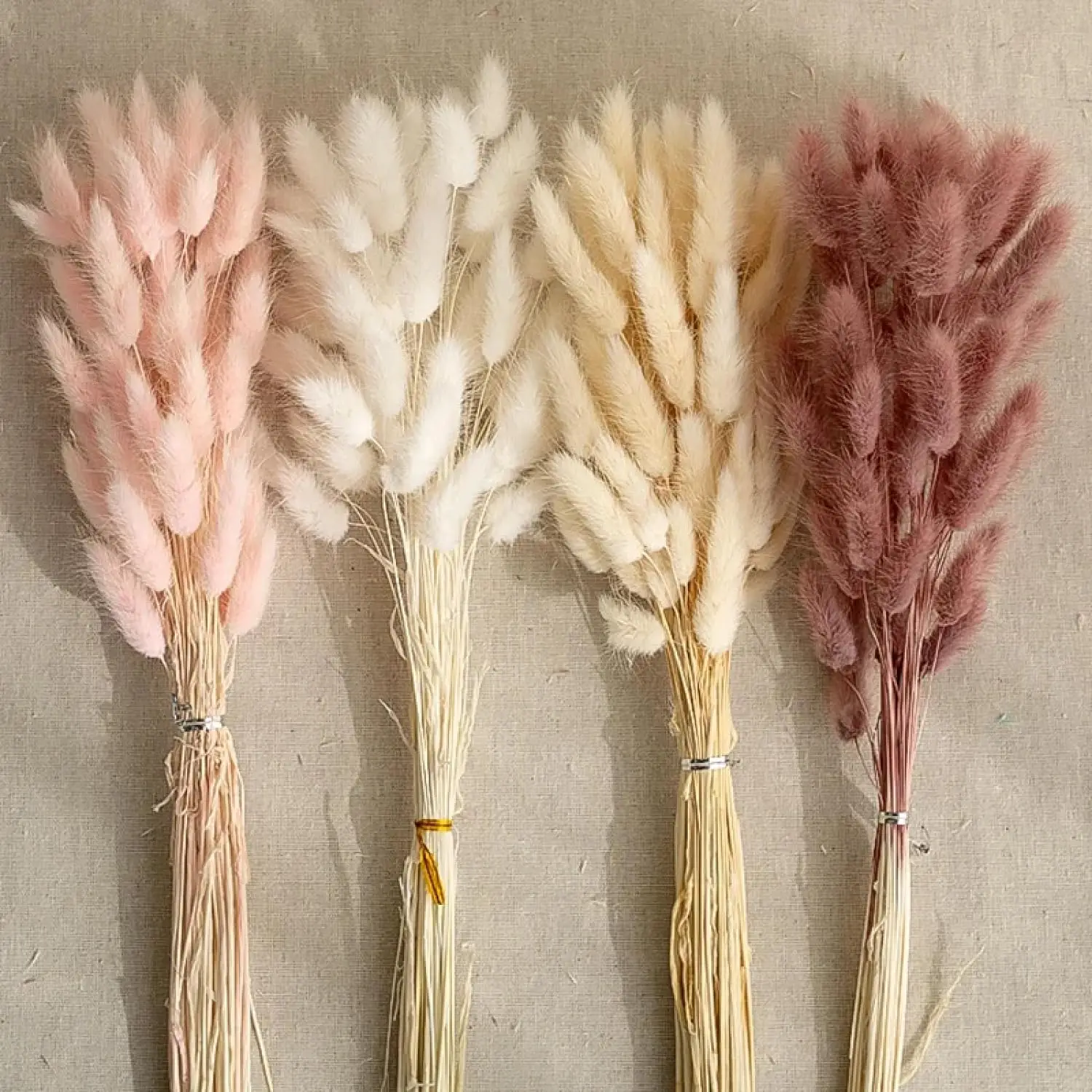 

17’’ Natural Bunny Tails Dried Flowers, 55 Pcs Dried Lagurus Ovatus, Dried Foxtail Grass for Home Arrangements Wedding Centerpie