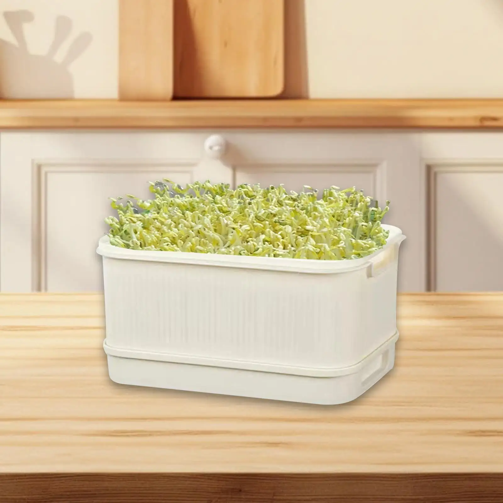 

Sprouts Tray Growing Kit Planter Cultivation Box Gardening Tool Germination Tray Sprouting Container for Office Outdoor Home