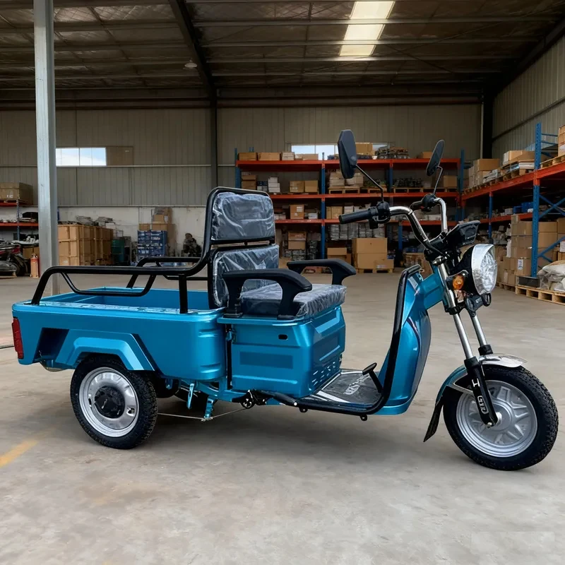 

Hot Sale Motorized Cargo Tricycle Adults 3 Wheel Motorcycle With 650W Motor Fami Transport