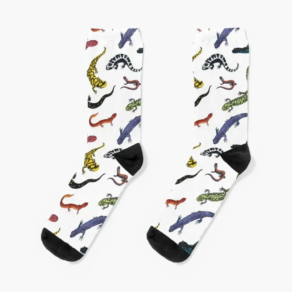 

Salamanders Socks Stockings man set warm winter valentine gift ideas Men's Socks Luxury Women's