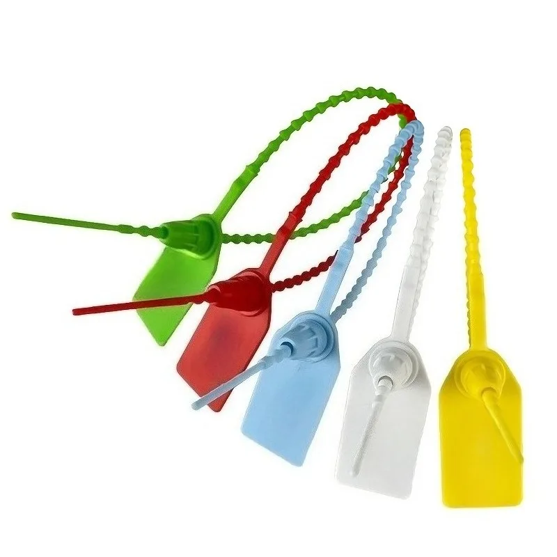 

300pcs Durable Colored 25Cm Anti-Tamper Seals Plastic Self-Locking Disposable Blank Security Tags for Shoes Bags Suitcase Mark