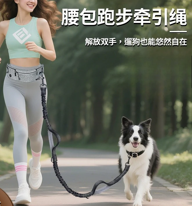 Anti-Shock Running Dog Leash – Reflective Nylon Multi-Function Retractable Hands-Free Waist Belt, Explosion-Proof Pull Buffer