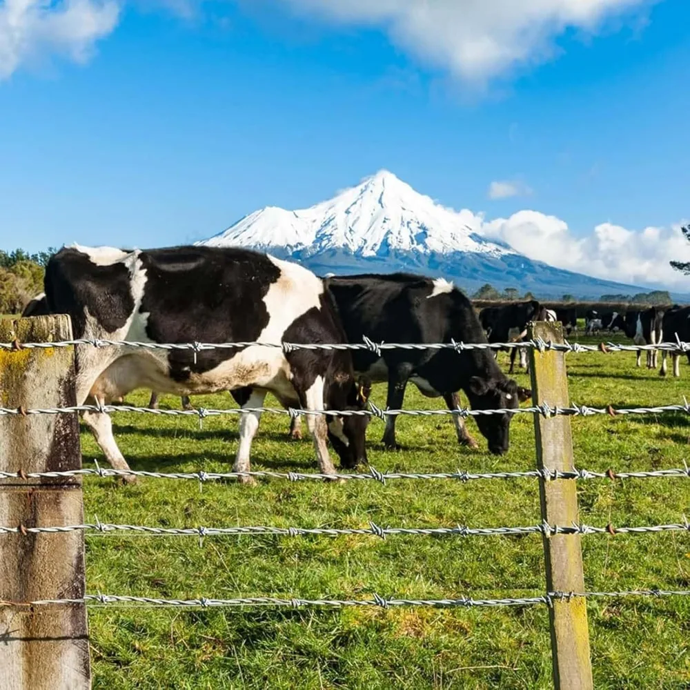 سلك شائك متين لسياج الماشية، أمان للحديقة عالي القوة، مناسب لحاويات الحيوانات، وحماية الفناء، والزواج #4