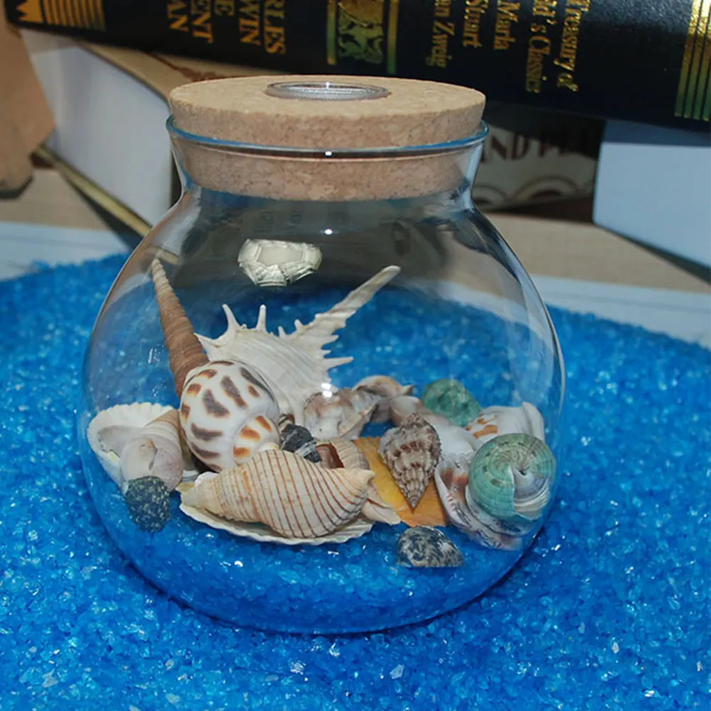 1 Pack 250G Natural Shell Conch Mix 2-5Cm Handpicked Fish Tank Decoration For Home Office Desk Diy Craft Gift Decor