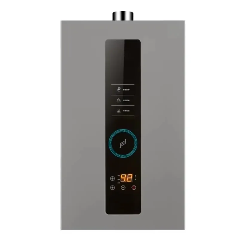 220V wholesale household 12L constant temperature propane portable water heater intelligent control large display screen