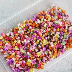 100/200pcs Artificial Flower for DIY Resin Candle Making, Jewelry Fill Art Craft, Home Decor Party Decoration Artwork Photo Prop