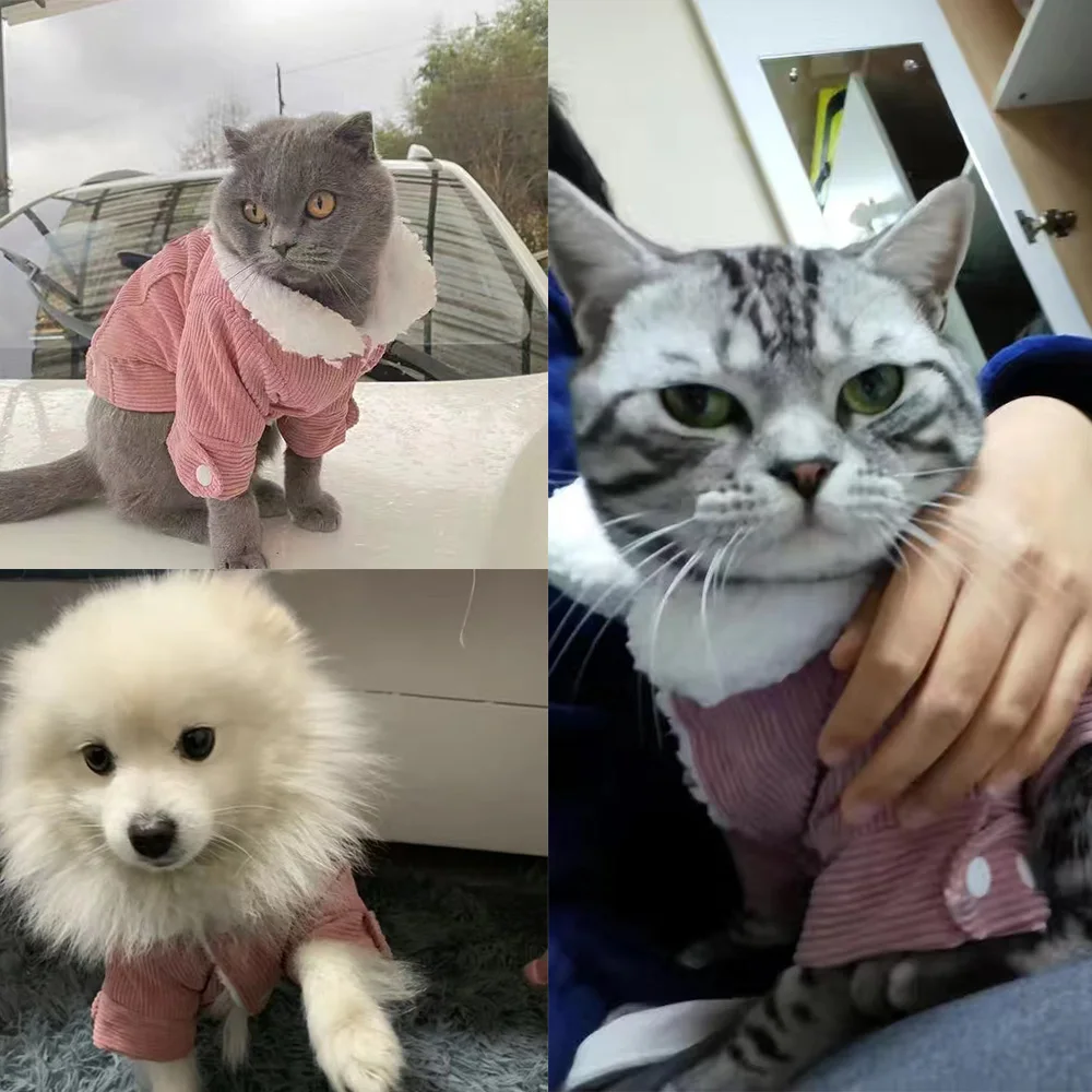 Thick Fleece Windproof Winter Pet Coat 6