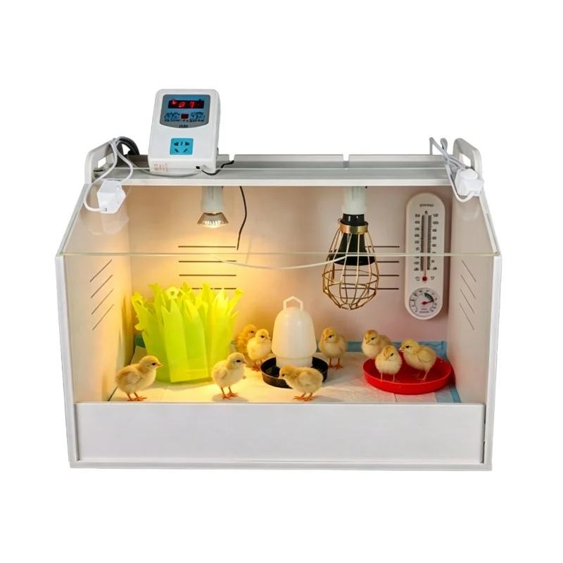 Poultry Brooder Incubator Box, Constant Temperature Rearing Container for Chicks, Quails, Ducks, Geese and Reptiles