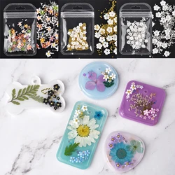 Acrylic Flower Resin Filling For Epoxy Resin Making Mixed Size Flower With Gold Silver Color Bead Jewelry Filling Nail Art Decor