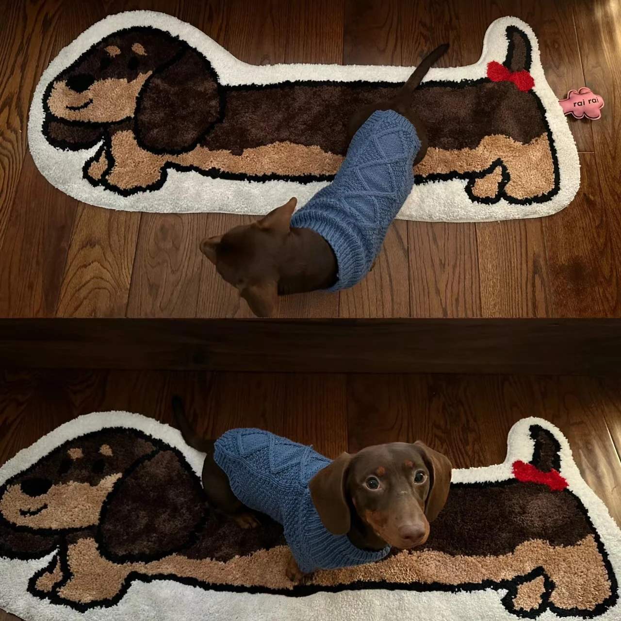 Cute Dachshund Dog Carpet Ins Style Bedroom Non Slip Bedside Plush Carpet Dirty Resistant Flocking Carpet Home Decoration Mat