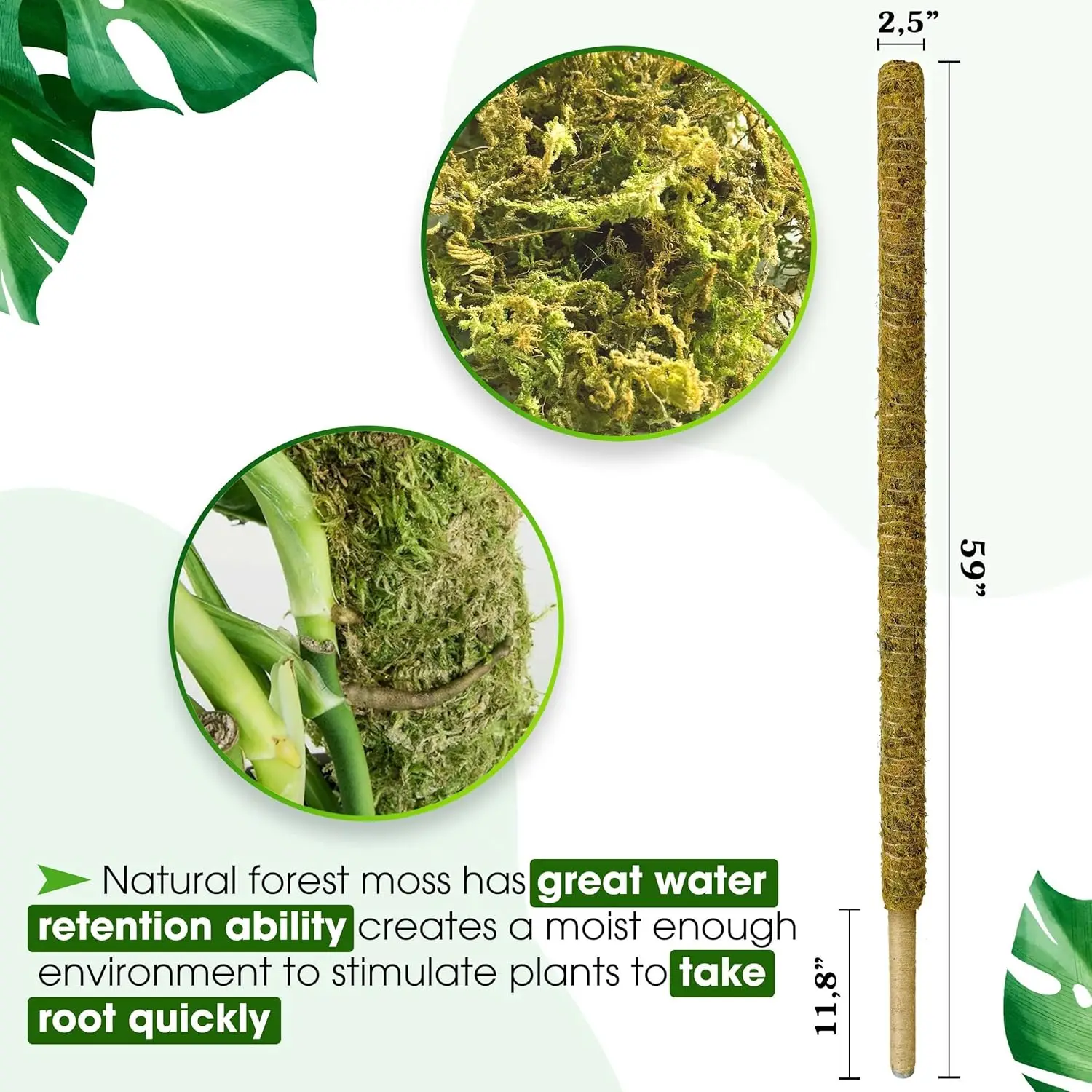 Non-Bendable Pole for Big Plants, Large Moss Pole for Plants Monstera, Plant Stakes for Indoor Plants, Monstera Plant Support