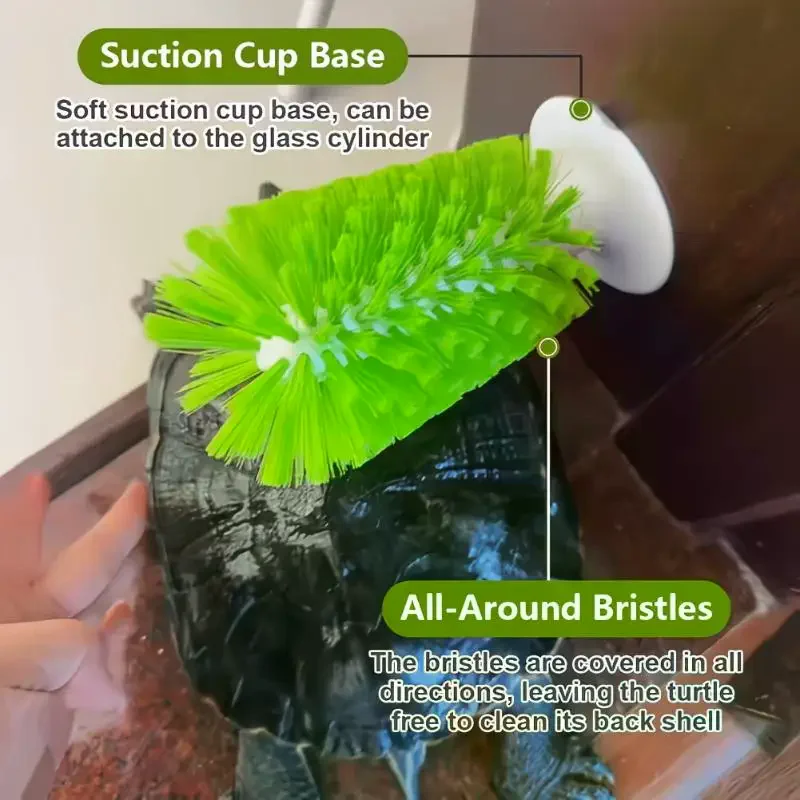 Turtle Brush Scrubber Sucker Shell Cleaning Tank Decorations Feeding Ball Aquarium Ornaments view 2