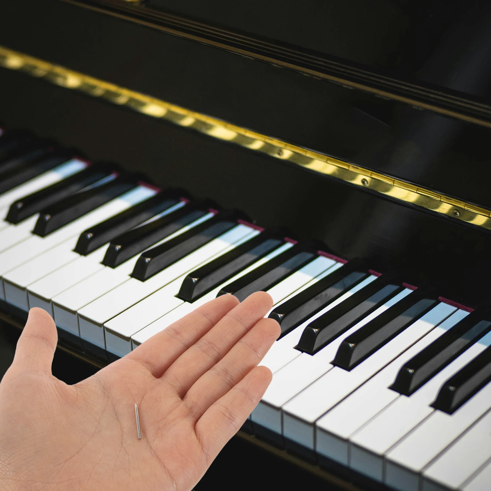 

Needle Kit Piano Repair Tool Shaft Nail Accessories Tuning String Parts for All Brands Music Schools Piano