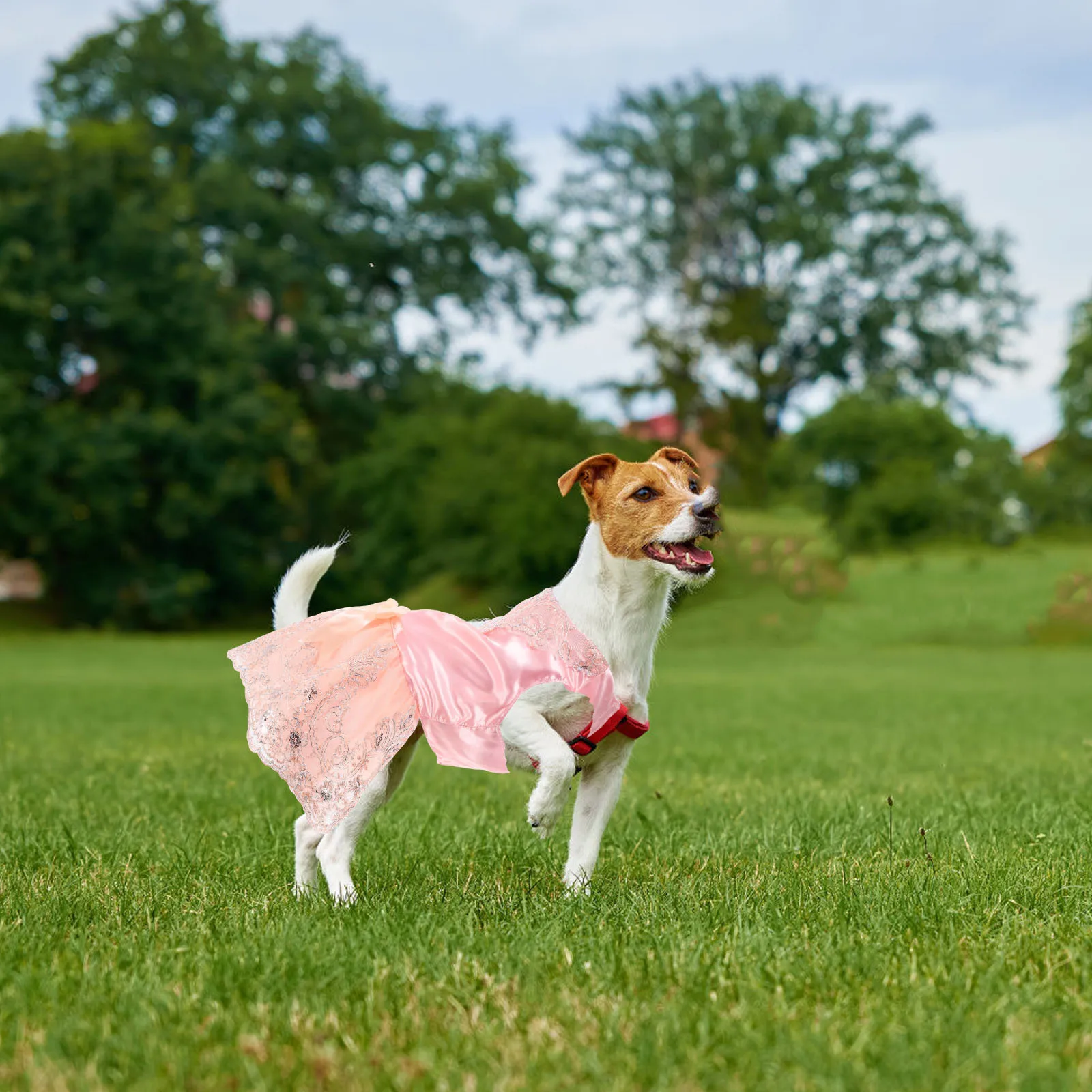 

Dog Wedding Lace Pink Size Xl Embroidery Pet Party Birthday Photo Costume Clothes Pet Dress Lace Clothes