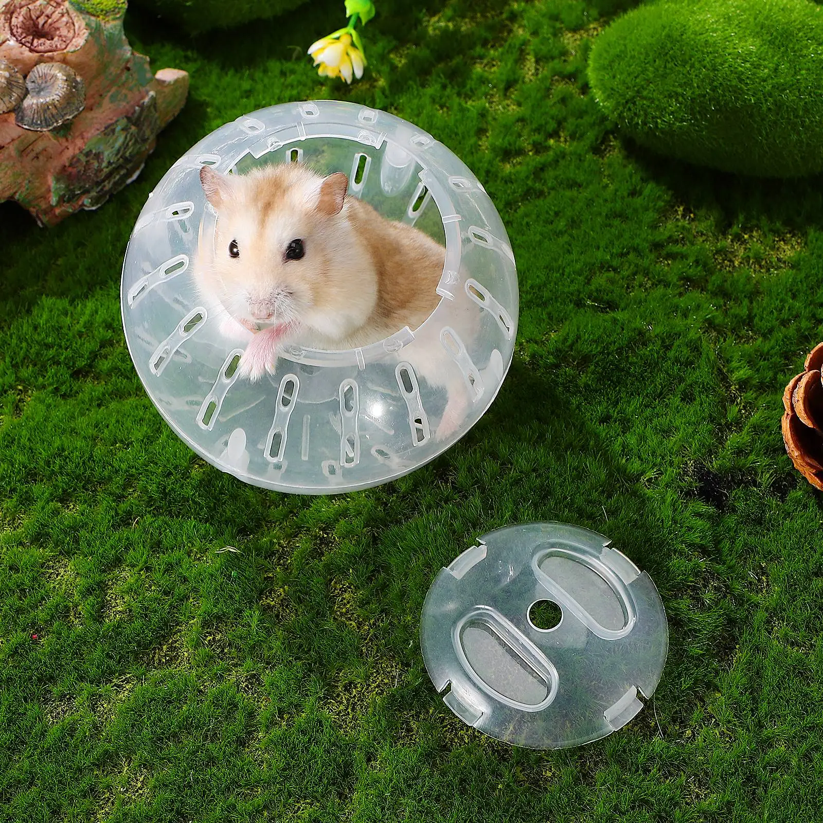 

Gerbils Hamster Toy Puppy Toys Dwarf Exercise Guinea Outdoor White Plastic Hamsters