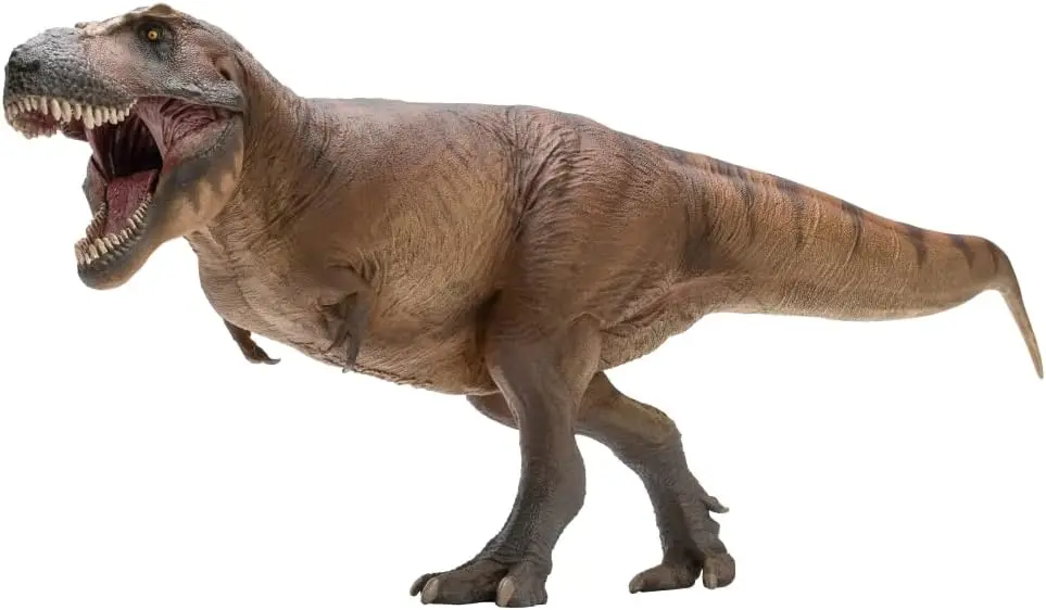 

1:35 Scale Tyrannosaurus Rex Dinosaur Model - Scientific Art, Museum Quality for Collectors and Educational Gifts